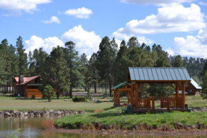 A wooden structure near the water with trees in the background.