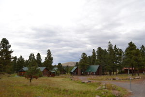 A group of cabins in the middle of a field.