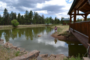 A person standing in the water near some rocks.